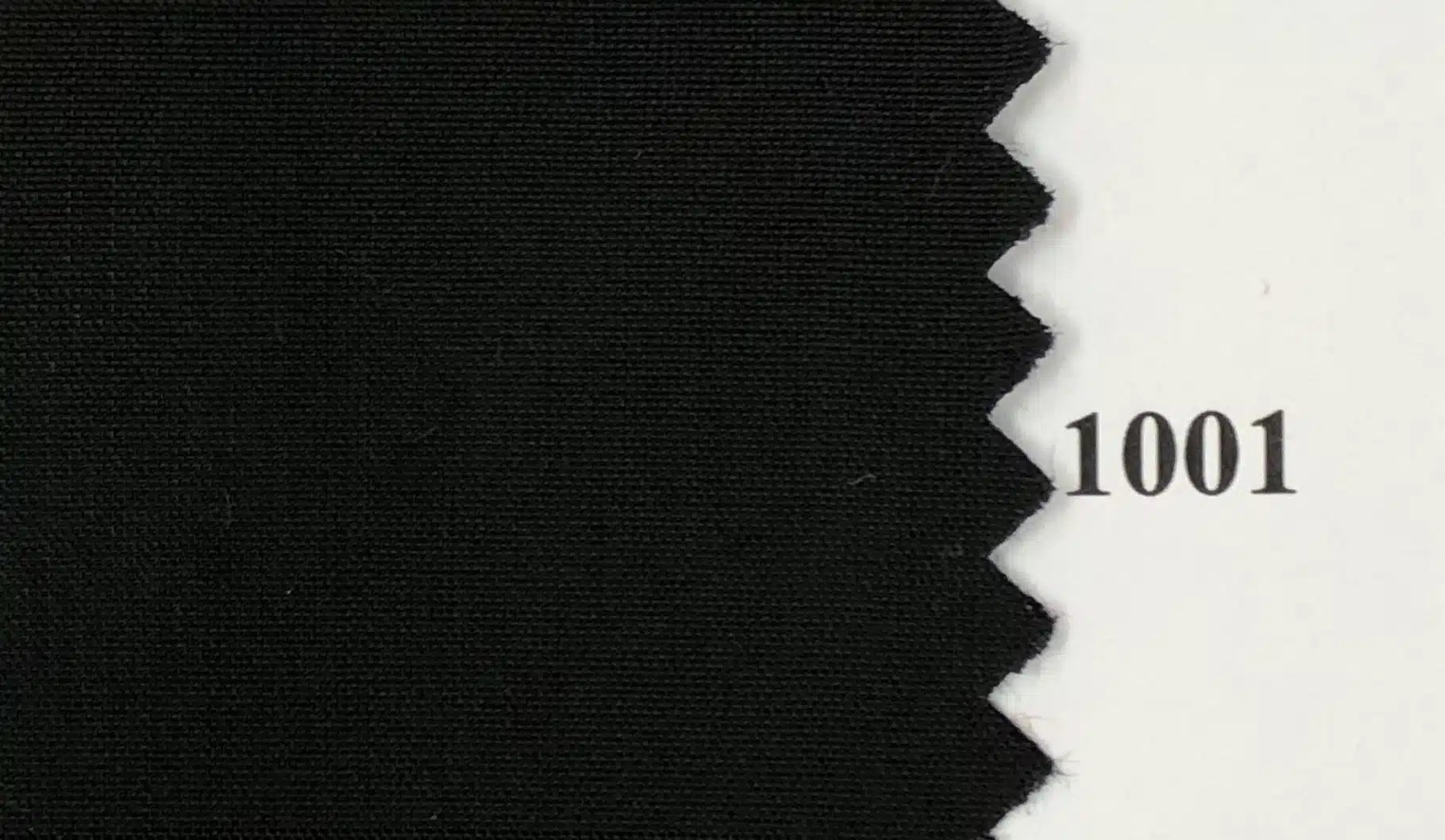 1001