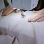 Bernina 480