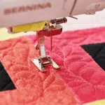 Bernina 790 PRO