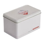 Bernina L890