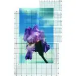 Pako transparante rasters, 6 stuks