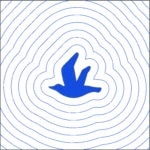 PE-Design 11