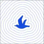 PE-Design 11